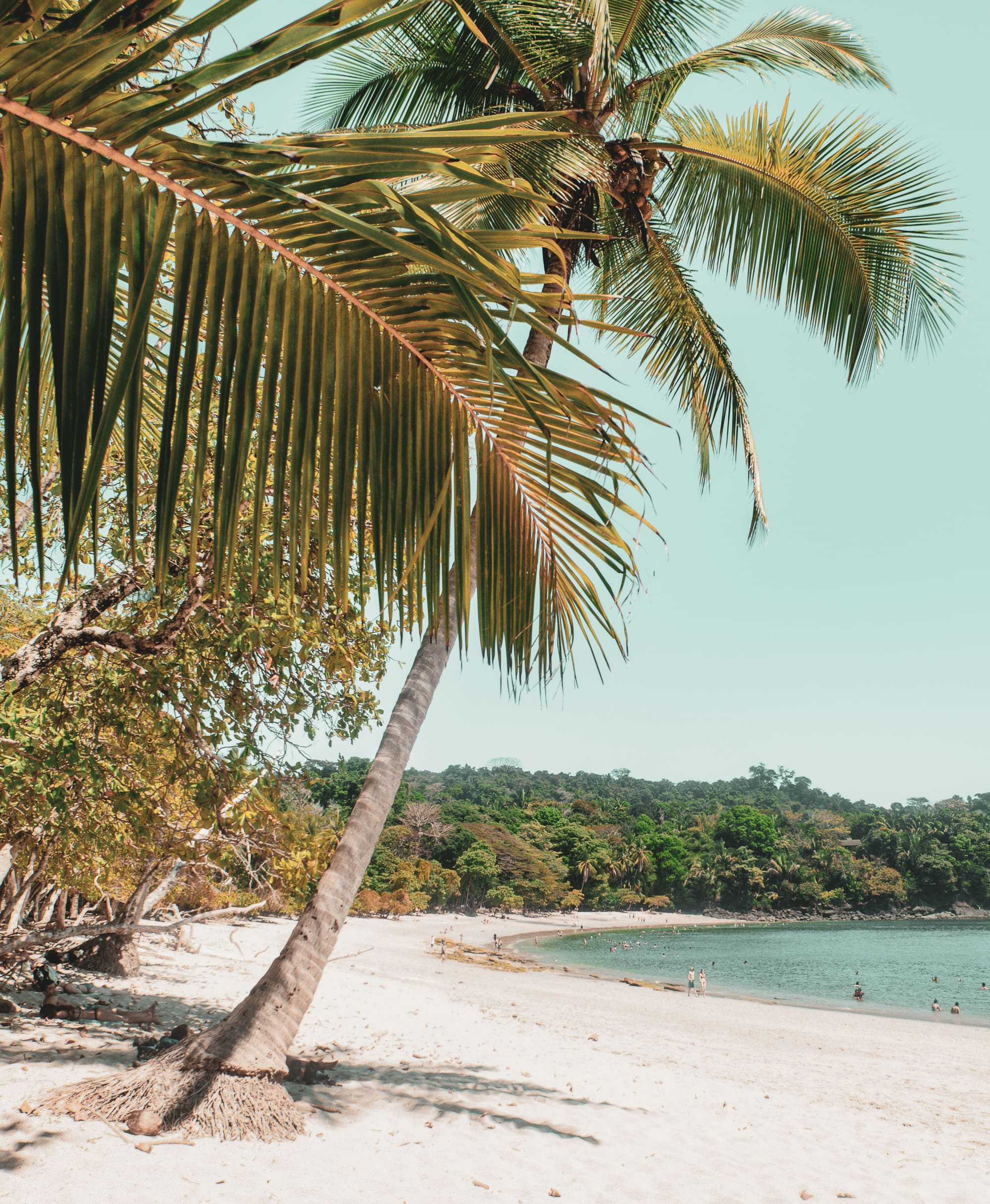 Costa Rica – Passion Nature, photo 6