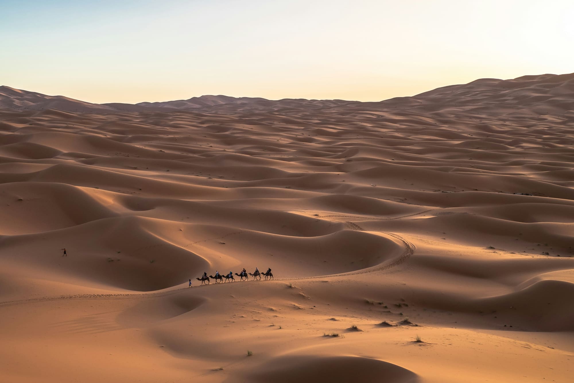 Arabie Saoudite – Voyage au cœur d’un royaume révélé, photo 2