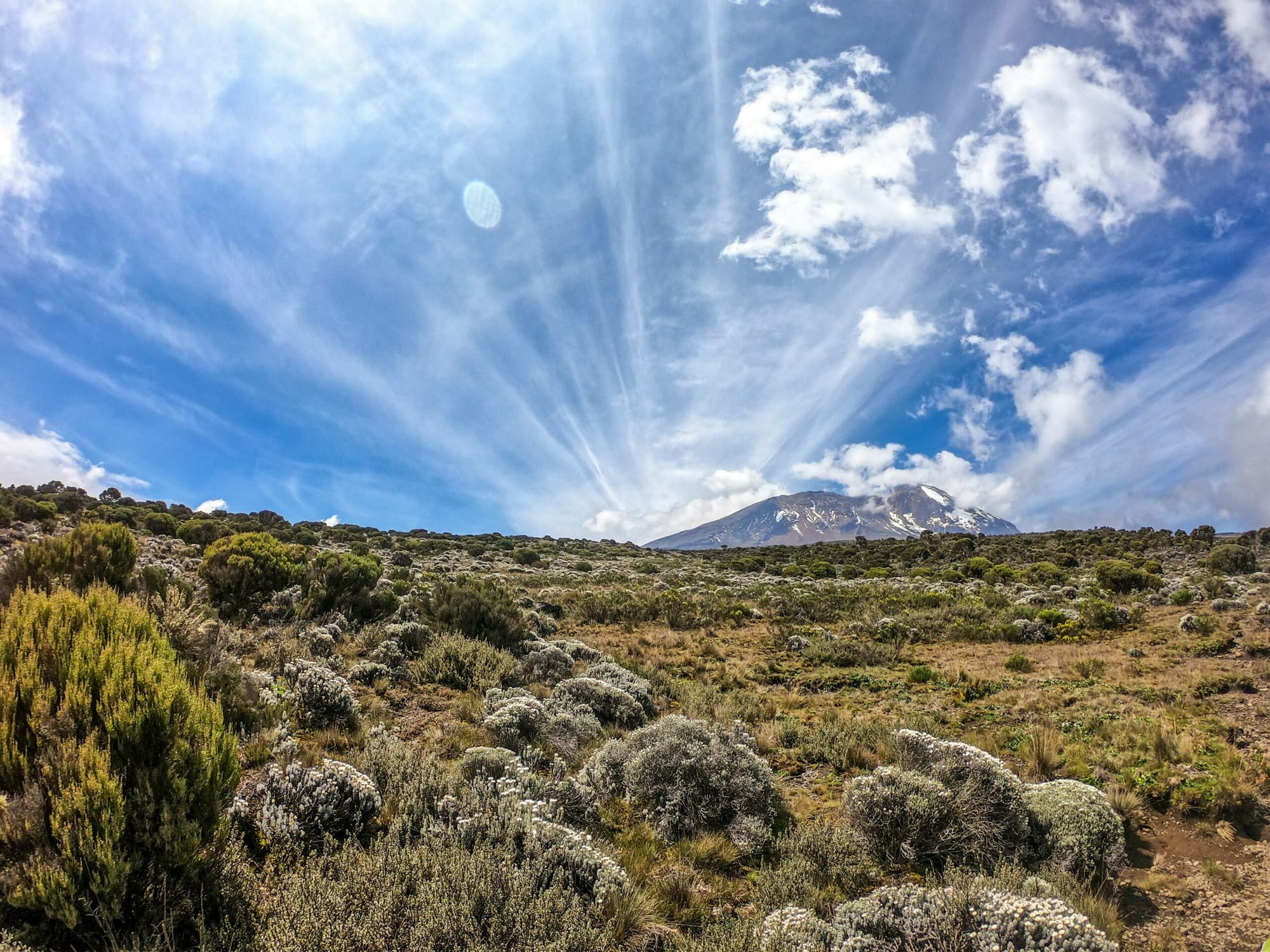 Le Kenya – Safari sacré aux forces originelles de la Terre, photo 4