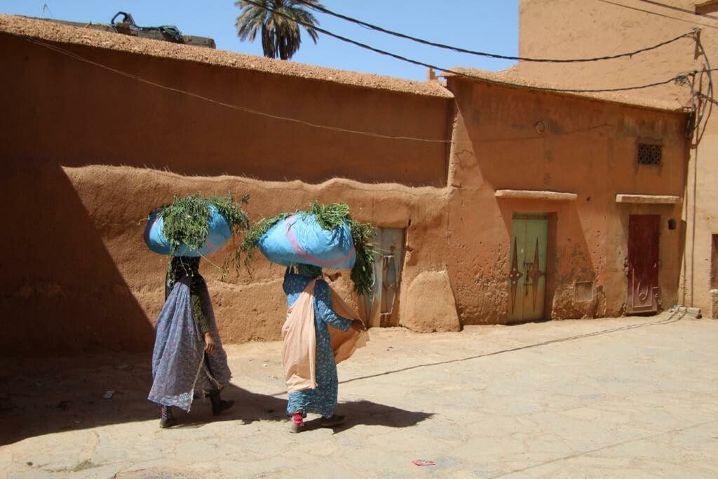 Le sud marocain : de l'Atlas aux dunes du Sahara, photo 6