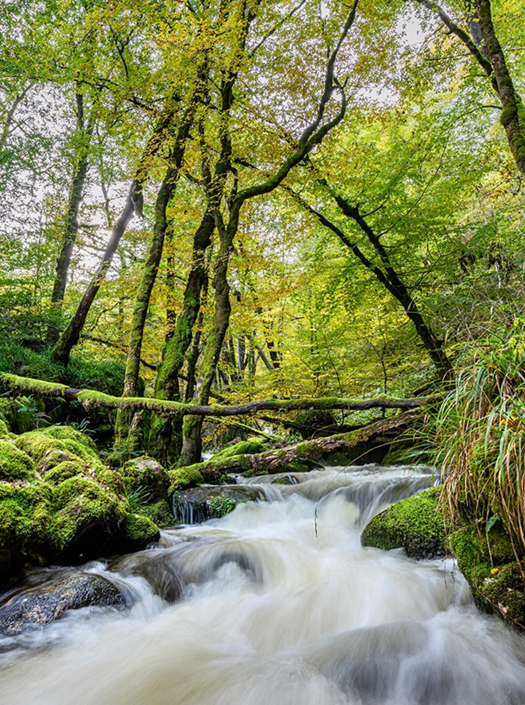 Le Morvan : le petit Canada français en quad et SSV