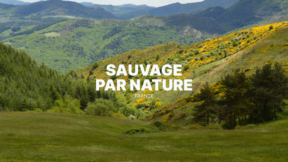 Voyager en quad et SSV en Ardèche Cévenole : entre pierre, forêts et silences