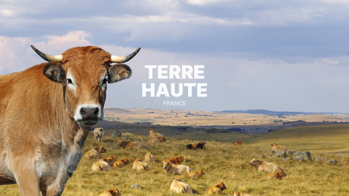 Aubrac en quad ou SSV : préparer 4 jours dans le Massif central